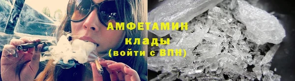 молекула духа Вяземский