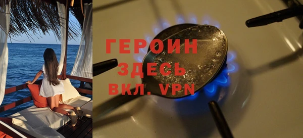 молекула духа Вяземский