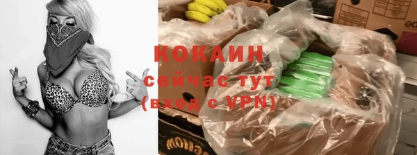 PSILOCYBIN Вязьма