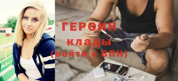 молекула духа Вяземский
