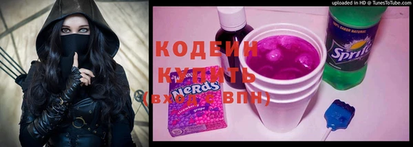 молекула духа Вяземский