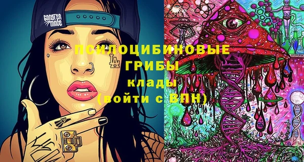 PSILOCYBIN Вязьма