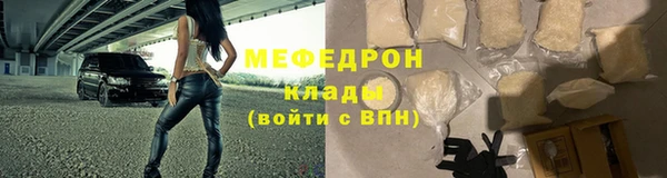 молекула духа Вяземский