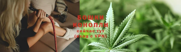 молекула духа Вяземский