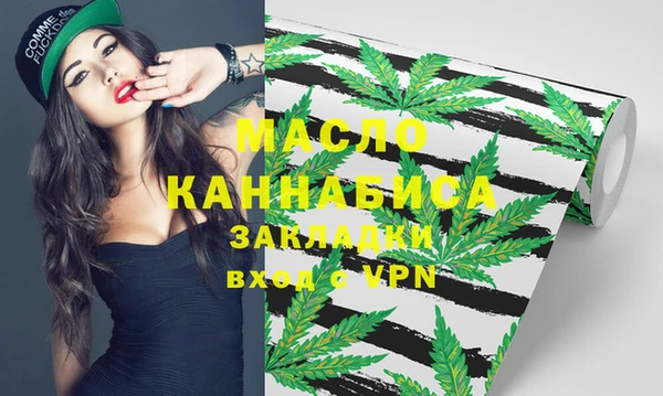 молекула духа Вяземский