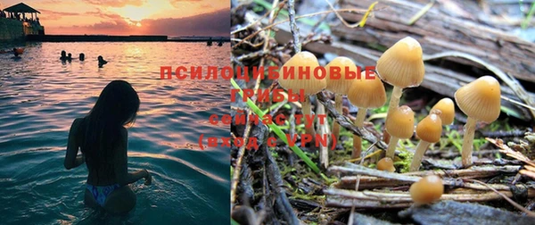 PSILOCYBIN Вязьма