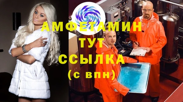 молекула духа Вяземский