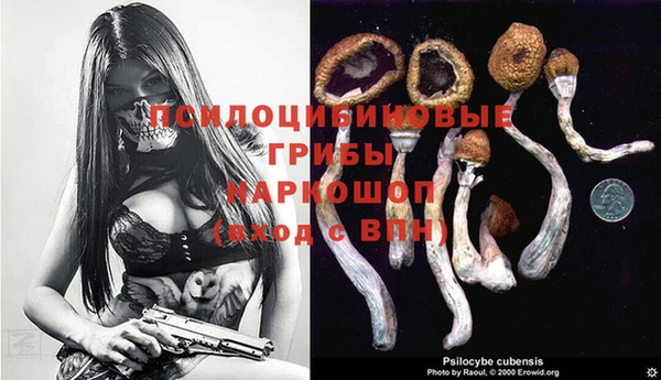 молекула духа Вяземский