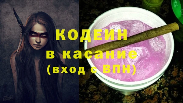 молекула духа Вяземский