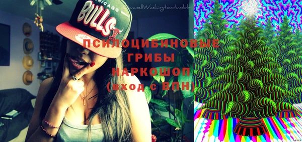 PSILOCYBIN Вязьма