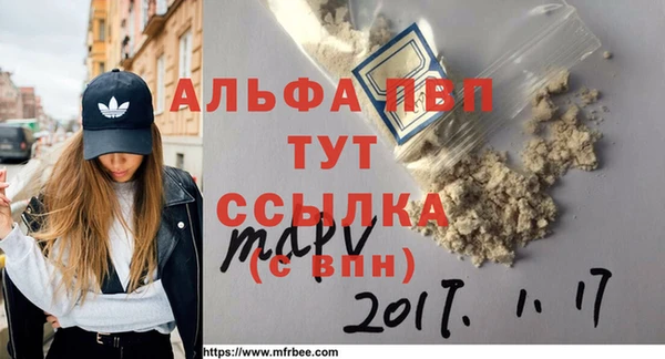 молекула духа Вяземский