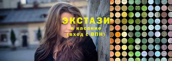 молекула духа Вяземский