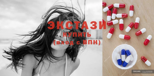 молекула духа Вяземский
