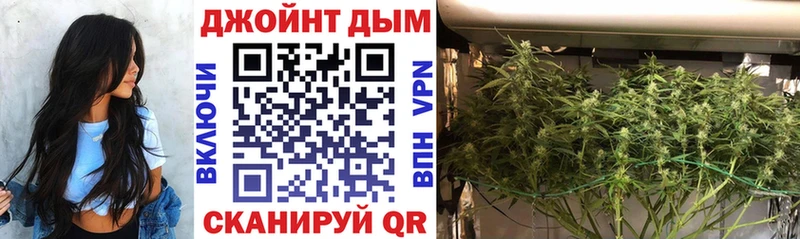 Канабис гибрид  Купить закладки  Советск 